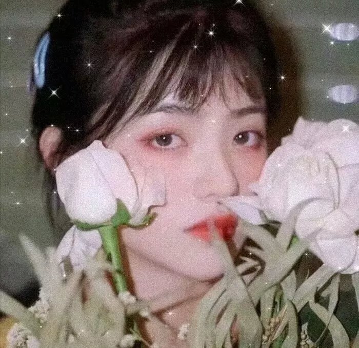 白暮的编年史
